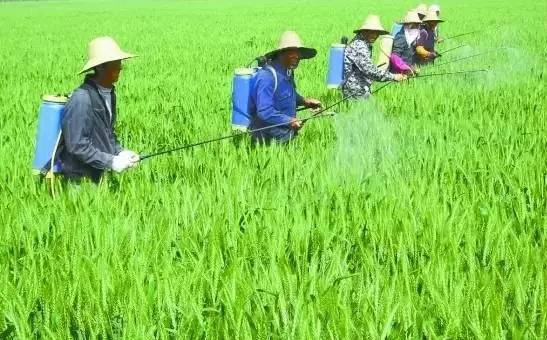 太陽能殺蟲燈哪家好?不能只圖價格便宜,否則得不償失
