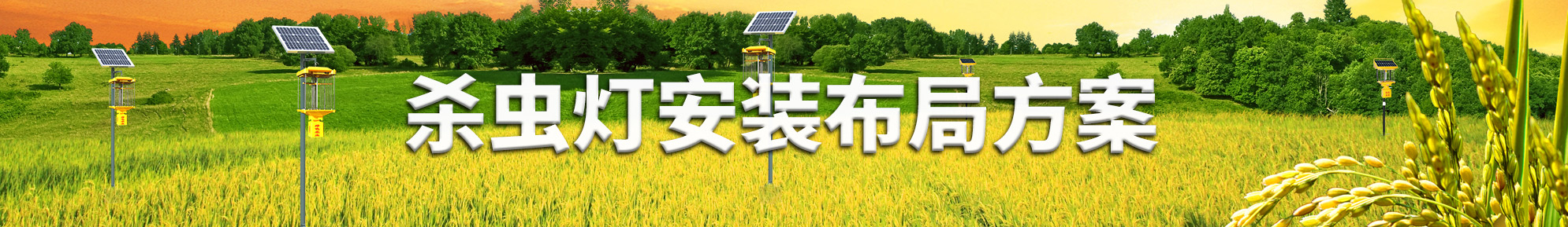 殺蟲燈圖片banner 殺蟲燈圖片
