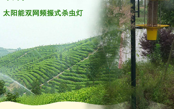高桿式太陽(yáng)能殺蟲(chóng)燈應(yīng)用于江西會(huì)昌縣林業(yè)圖片 高桿式太陽(yáng)能殺蟲(chóng)燈應(yīng)用于江西會(huì)昌縣林業(yè)圖片