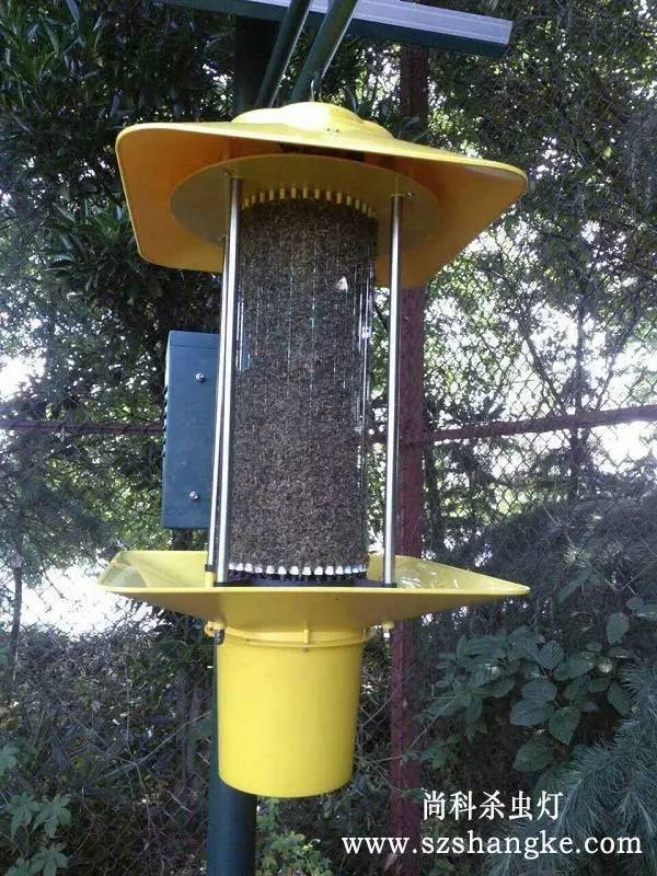尚科太陽能殺蟲燈殺蟲效果實(shí)拍