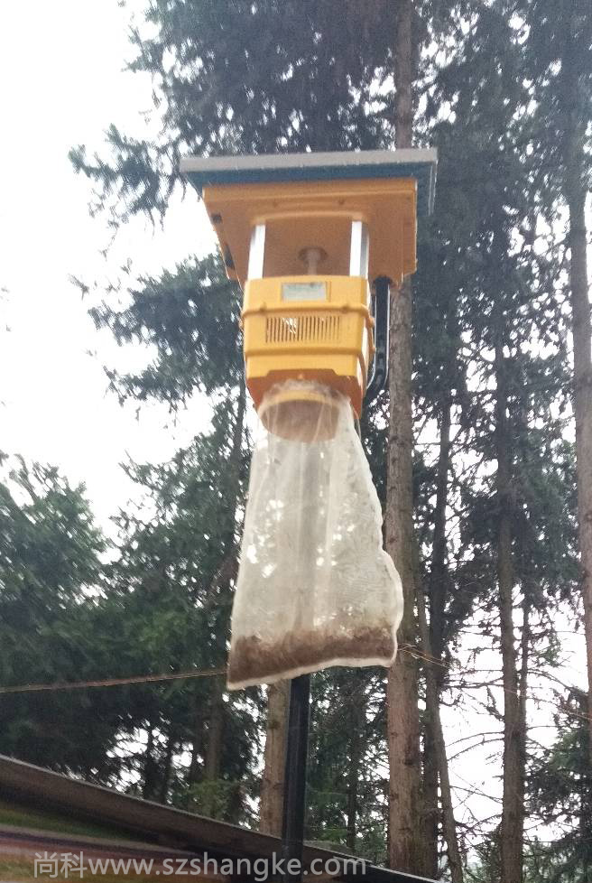 風(fēng)吸式殺蟲燈效果圖片 風(fēng)吸式殺蟲燈效果圖片
