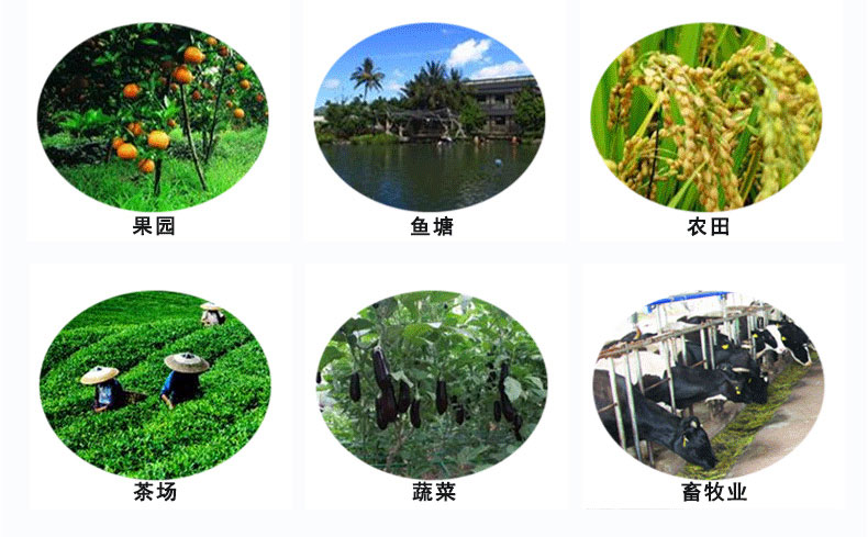 頻振式殺蟲燈適用農(nóng)業(yè)生產(chǎn)領(lǐng)域 頻振式殺蟲燈適用農(nóng)業(yè)生產(chǎn)領(lǐng)域