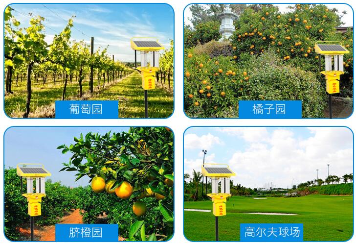 鋰電池小型太陽能殺蟲燈效果展示 鋰電池小型太陽能殺蟲燈效果展示