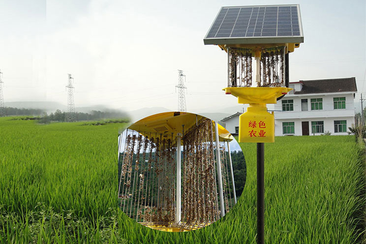 太陽能電擊式殺蟲燈效果實拍 太陽能電擊式殺蟲燈效果實拍