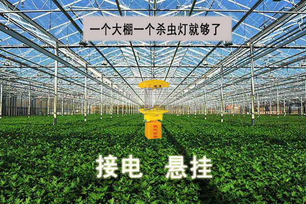 生態農業用自動殺蟲燈 生態農業用自動殺蟲燈