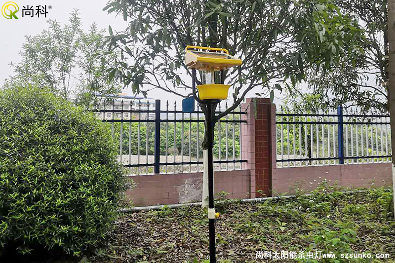 廣西南寧殺蟲燈用于某單位園林公園效果圖片 廣西南寧殺蟲燈用于某單位園林公園效果圖片
