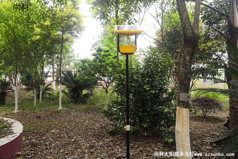 廣西南寧殺蟲燈用于某園林式機關大院效果圖片 廣西南寧殺蟲燈用于某園林式機關大院效果圖片