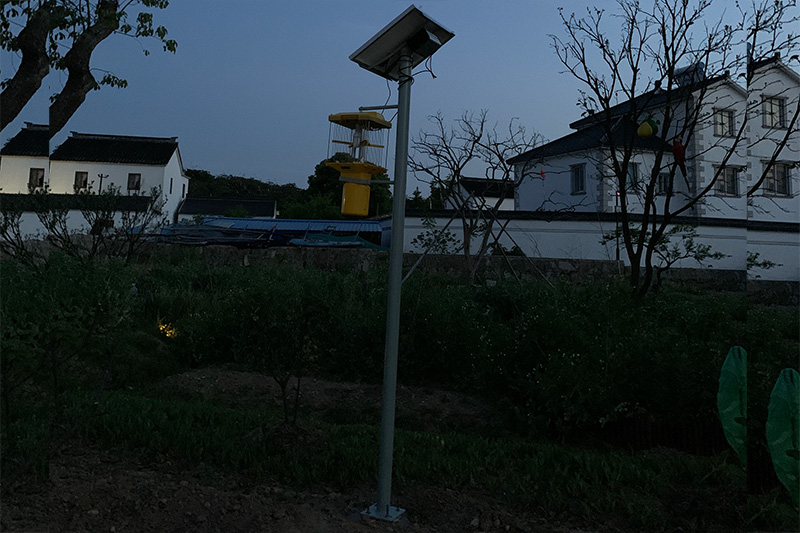 大型高桿太陽能殺蟲燈安裝現場圖片 大型高桿太陽能殺蟲燈安裝現場圖片