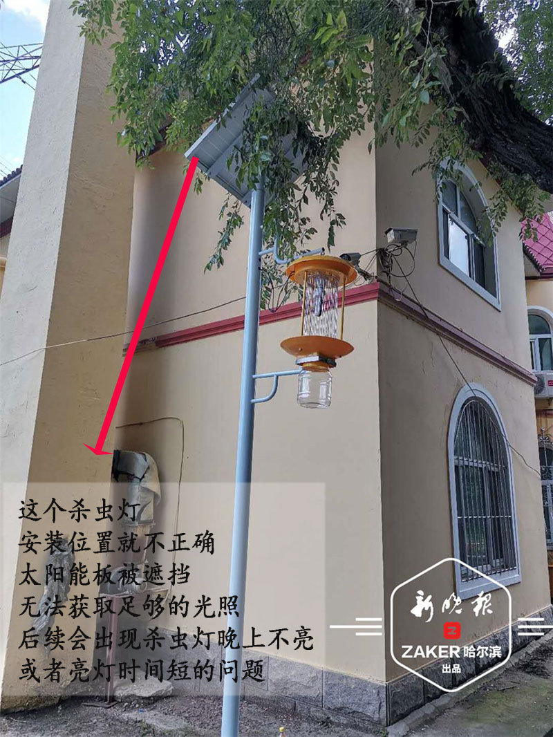 哈爾濱園林公園安裝太陽能殺蟲燈 哈爾濱園林公園安裝太陽能殺蟲燈