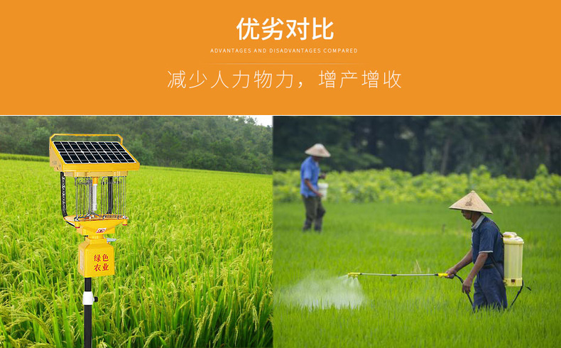 太陽能殺蟲燈助力水稻田害蟲防治 太陽能殺蟲燈助力水稻田害蟲防治
