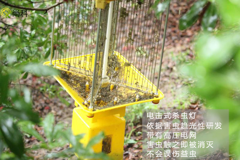 果園殺蟲燈哪種好?電擊式果園殺蟲燈效果好 果園殺蟲燈哪種好?電擊式果園殺蟲燈效果好