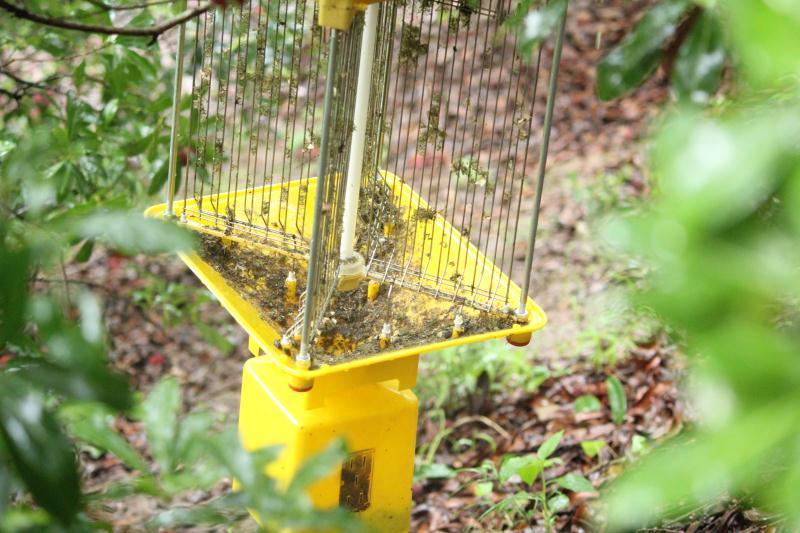 果園市電殺蟲燈28瓦 果園市電殺蟲燈28瓦