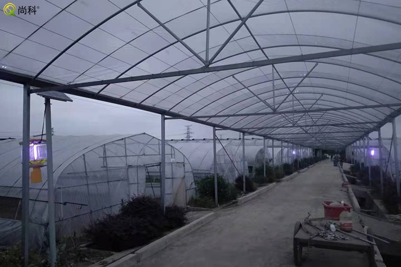 蔬菜種植基地太陽(yáng)能殺蟲(chóng)燈 蔬菜種植基地太陽(yáng)能殺蟲(chóng)燈