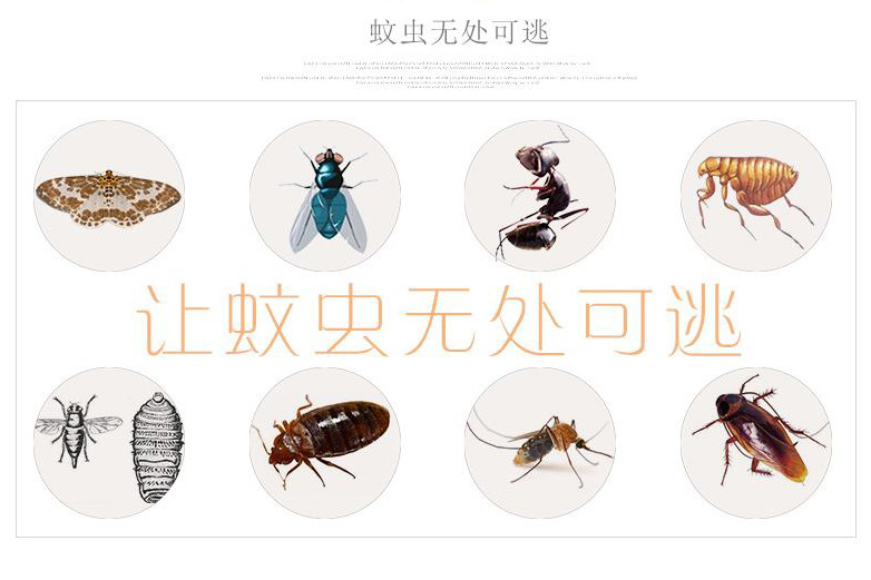 家居環境常見的害蟲如蚊子蒼蠅 家居環境常見的害蟲如蚊子蒼蠅