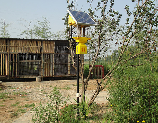 別墅殺蟲推薦用什么燈?殺蟲燈的選擇與使用