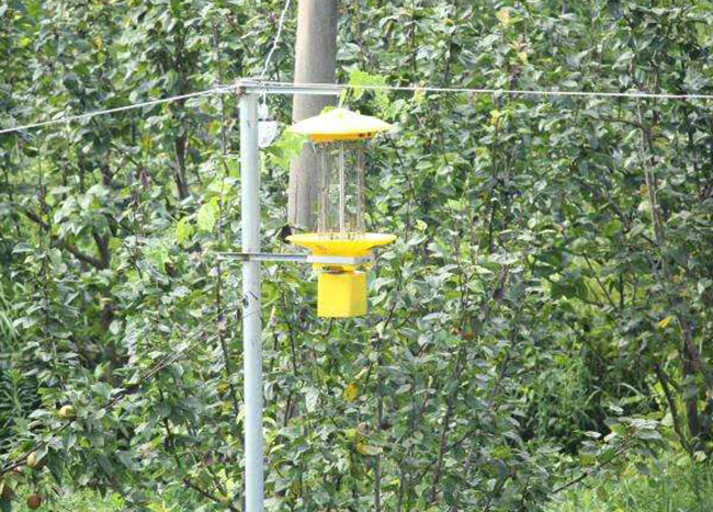 草地殺蟲燈怎么樣?草地殺蟲燈的優缺點分析