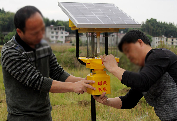專業昆蟲殺蟲燈怎么樣?殺蟲燈的選擇及使用