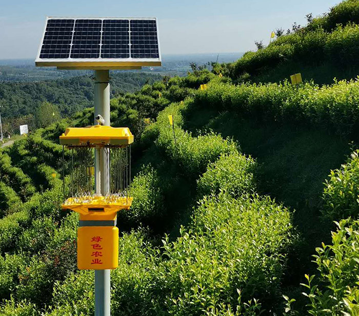 白天可誘蟲的殺蟲燈叫什么?白天使用的殺蟲燈