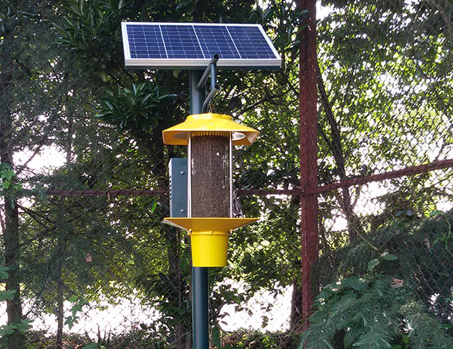 菜地殺蟲燈怎么樣?菜地殺蟲燈的優缺點