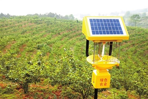 茶園殺蟲燈能殺什么蟲??茶園殺蟲燈的有效性分析