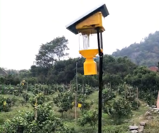 高空殺蟲燈的作用,高空殺蟲燈有用嗎